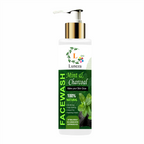 Luneza Mint & Charcoal Face Wash